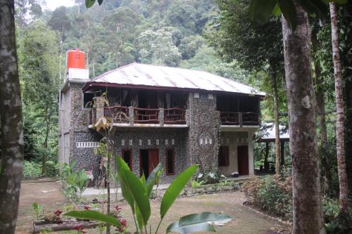 Rinte Green Village & Bukit Lawang Jungle Trekking in Bukit Lawang