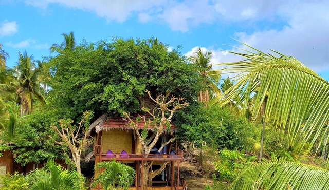 Room on the Real Tree in Bali