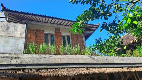 Rumah Herbal Therapy BaliManggis in Tampaksiring