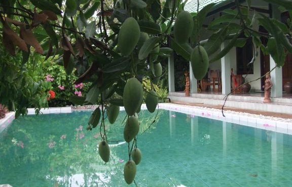 Rumah Sawah in Yogyakarta