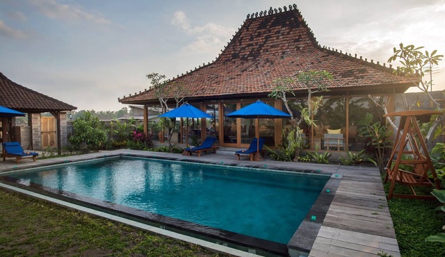 Rumah Tyang Mengwi: located in the midst of a rice paddy — just north of Canggu! in Mengwi