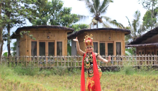 Sawah Ijen in Licin