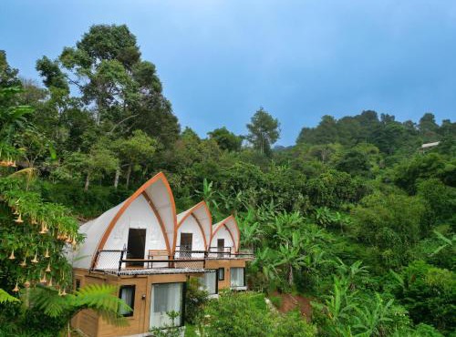 Selayang Olivehill - Kemewahan Glamping di Hutan in Ciburayut