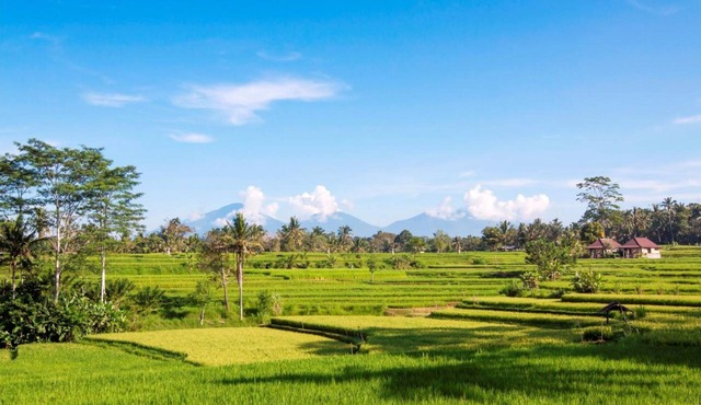 Serene accommodation in Ubud Riverside, Feel the Ambience in Ubud