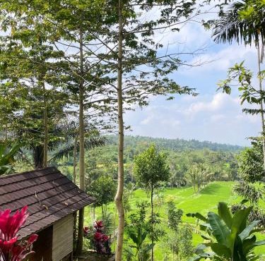 Serenity Lodge Tetebatu Lombok in Tetebatu