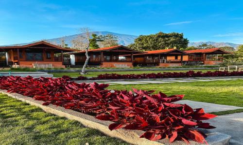 SEROJA Villa and Camping Ground in Sajang
