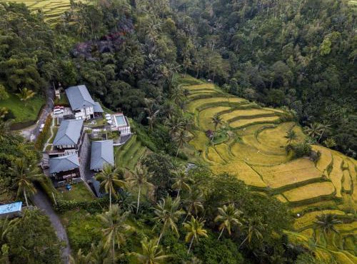 Suarapura Resort & Spa in Tegalalang
