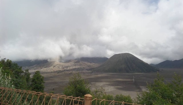 Superior Cemara Indah at Cemara Lawang, Bromo in Tengger Caldera