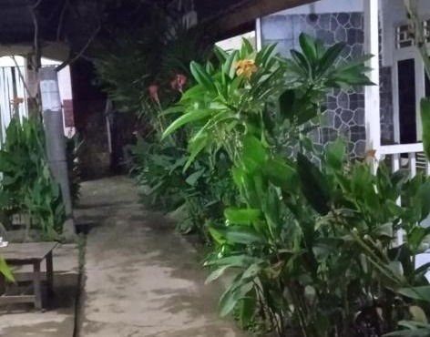 Syifa Homestay in Gili Trawangan