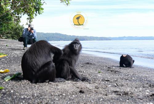 Tangkoko Backpacker Home stay in Rinondoran