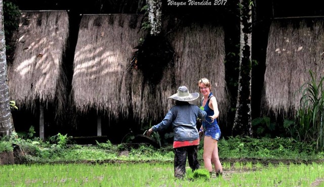 Tegal Dukuh Camp in Taro