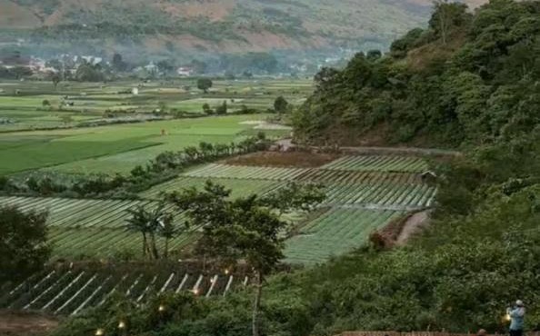 Terassada Camp in Sembalun Lawang