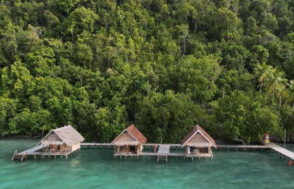 Terimakasih Raja Ampat in Pulau Mansuar