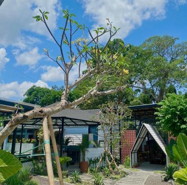 The Jungle Hostel Canggu in Canggu