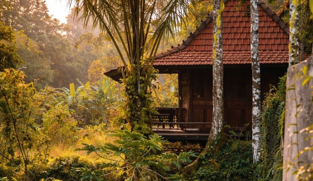 The Jungle Villa Ubud Bali in Ginyar