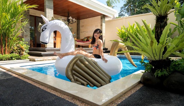 The Lenco Villa in Ubud