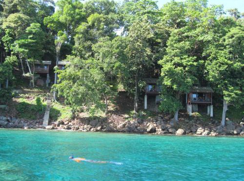 Treetop Guesthouse and Bungalows in Sabang