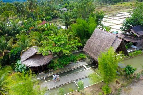 Tropical Jungle lodge & Jungle trekking in Bukit Lawang