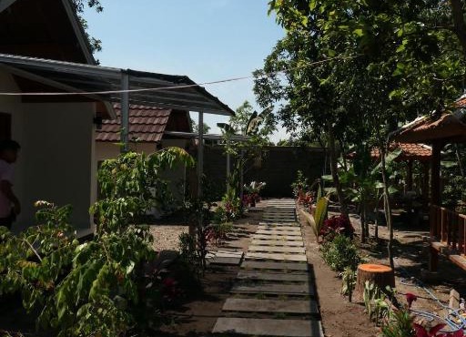 Tunggal rinjani in Tetebatu
