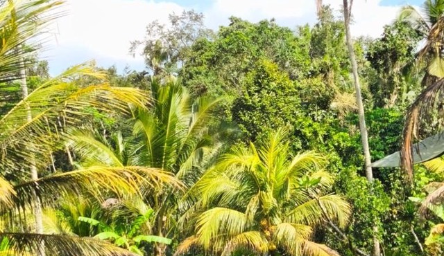 Uma Mupu in Gianyar