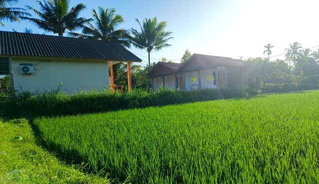 Vaniglia House Tetebatu in Tetebatu