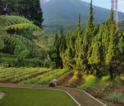 Villa gunung salak indah in Bogor