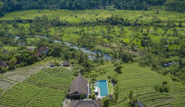 Villa Kropak - live amongst the ricefields of Sidemen valley! in Sidemen