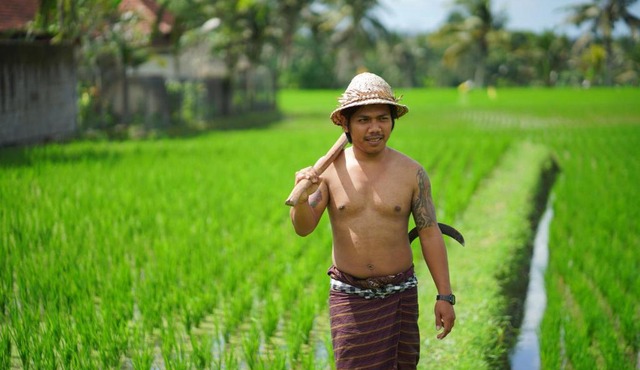 Villa Mandi Resort & Spa in Ubud