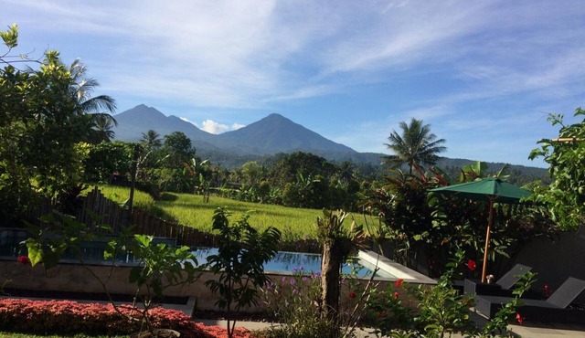 Villa - Warung AromaChampuhan in Bali