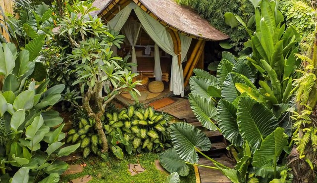 Wahem Tebenan - Eco Bamboo home Ubud Bali, River View in ubub