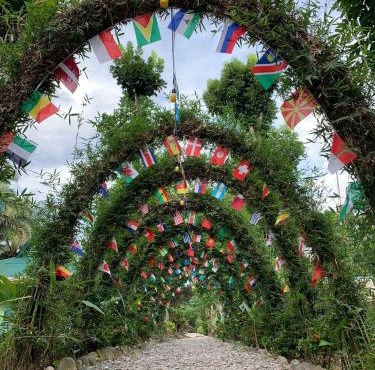 Wisma Batu Mandi and Jungle trekking in Bukit Lawang