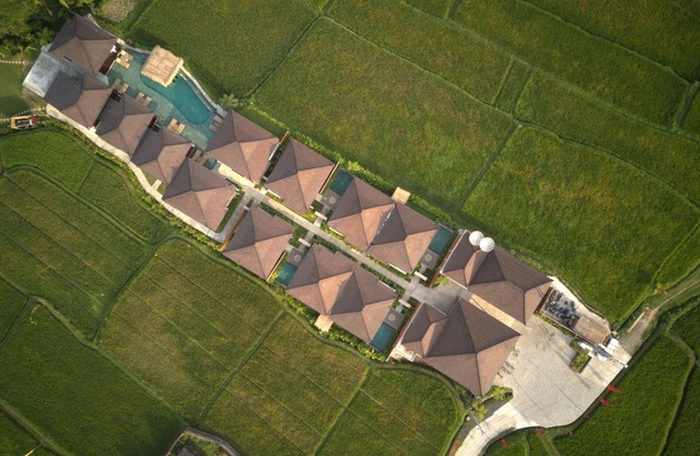 Beautiful Villa with Private Pool overlooking to Rice Field in Tegallang