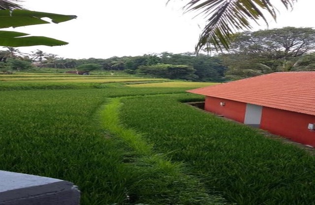 Lotus Guesthouse Sudaji: a natural and unique place in the North Bali. in Singaraja