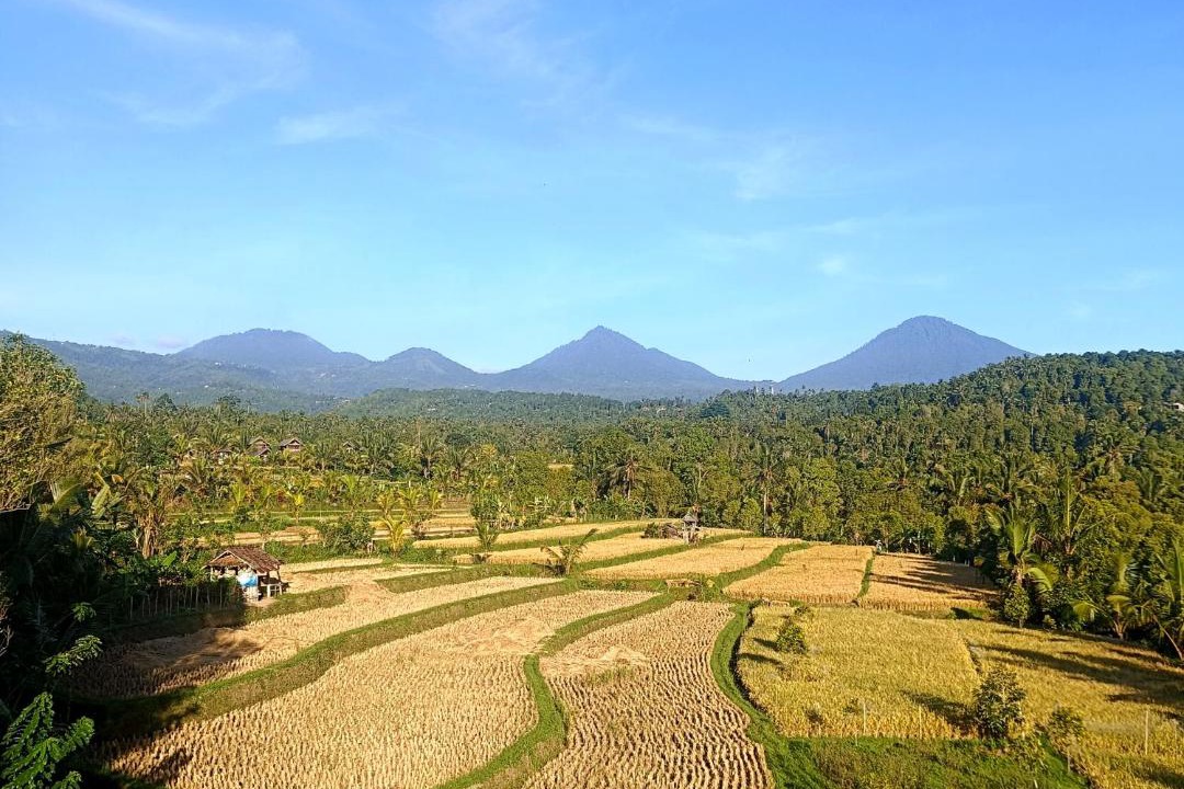 Gobleg Bed & Breakfast | Bali Harmoni Munduk