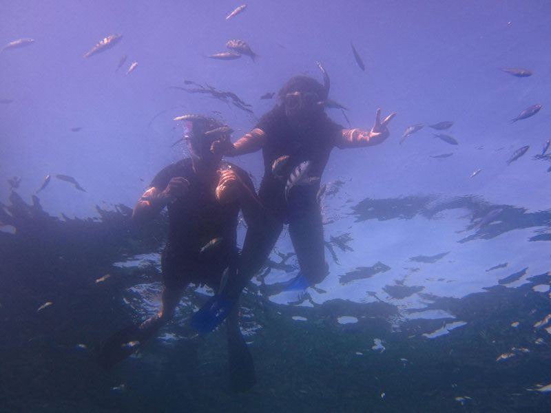 Photo of Outdoor in Mushroom Bay