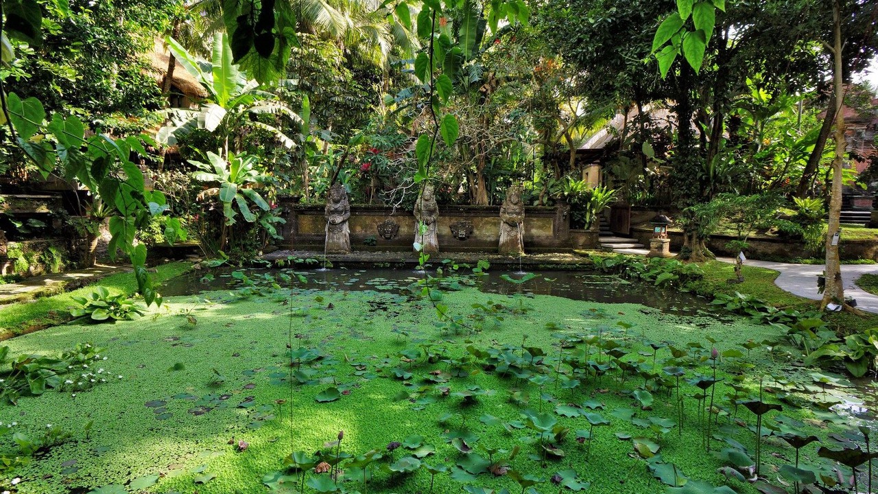 Photo of Outdoor in Pengosekan