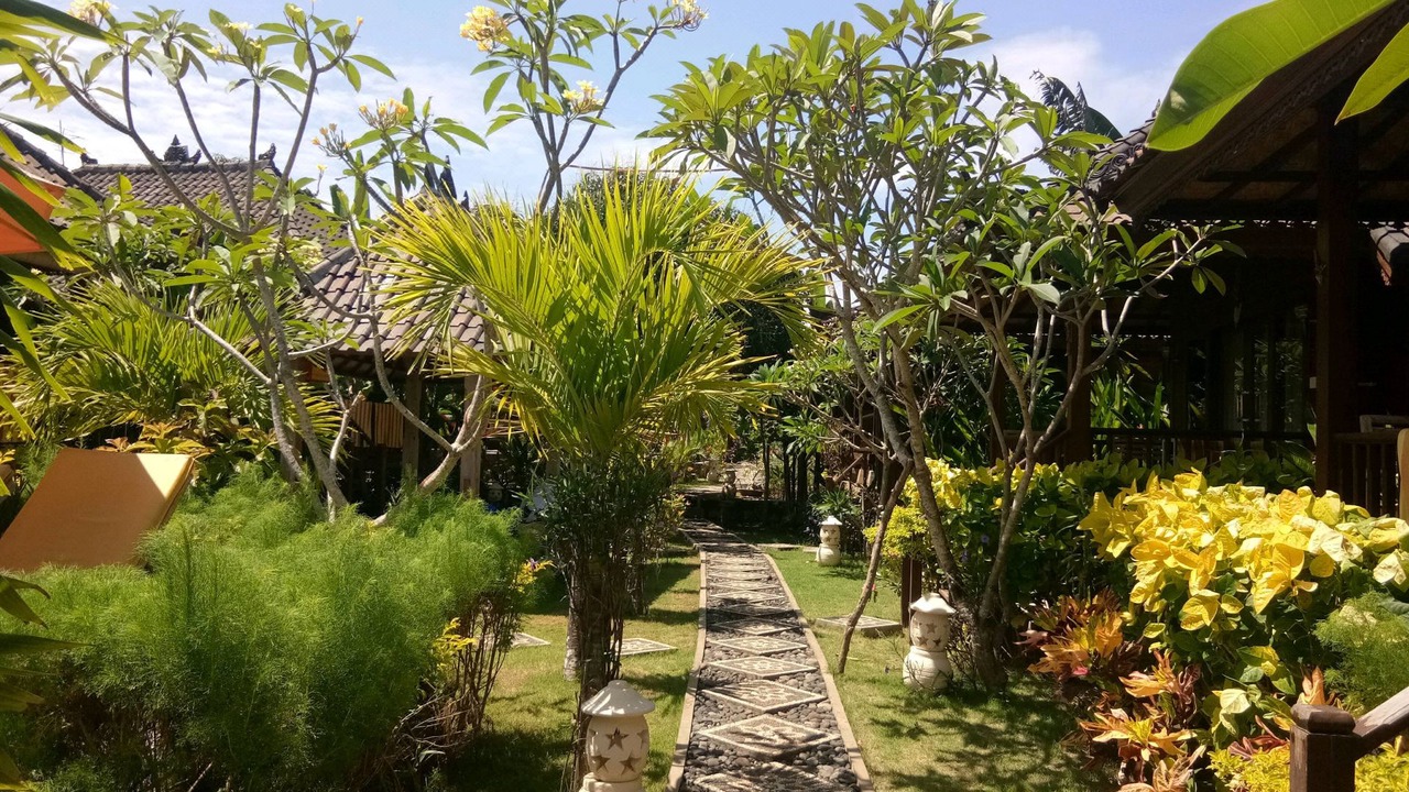 Photo of Others in Mushroom Bay