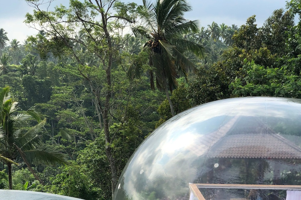 Photo of Outdoor in Tampaksiring
