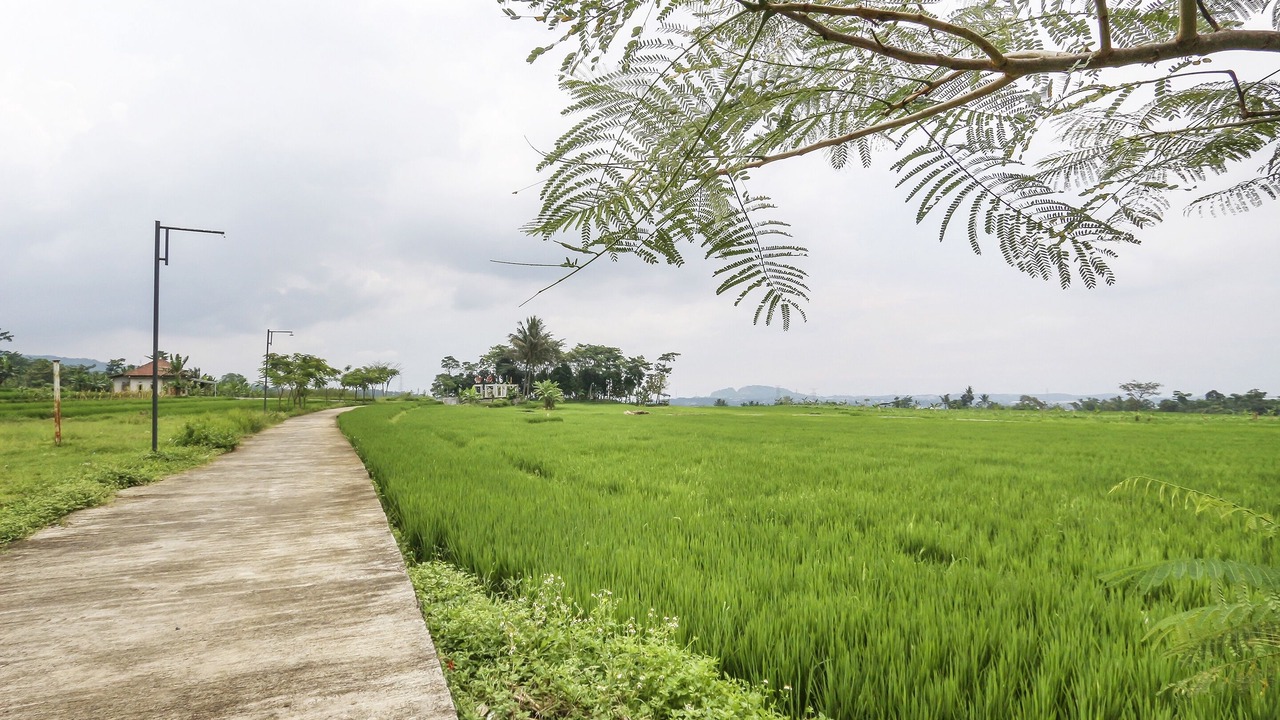 Photo of Others in Bandungan