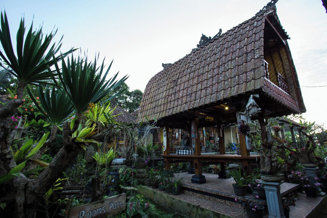 Photo of Outdoor in Baturiti