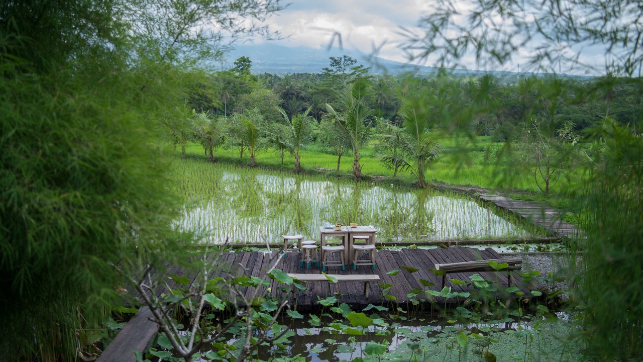 Photo of Outdoor in Cangkringan