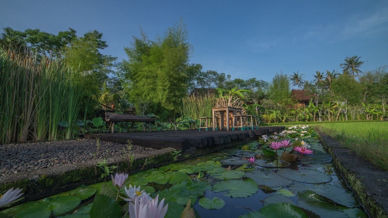 Photo of Outdoor in Cangkringan