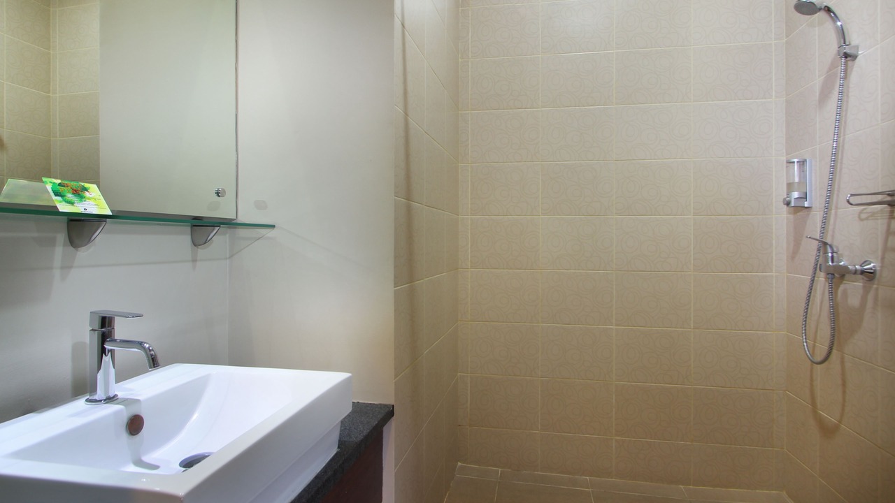 Photo of Bathroom in Panjer