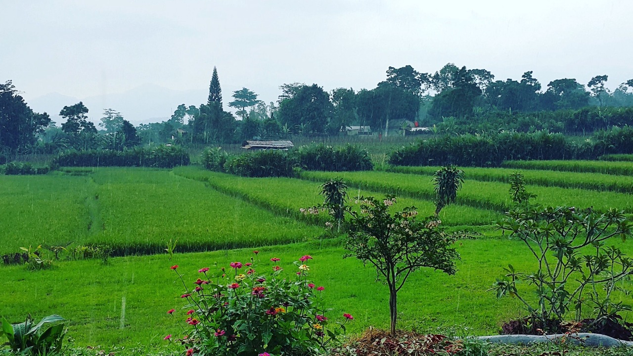 Photo of Outdoor in Jambu Luwuk