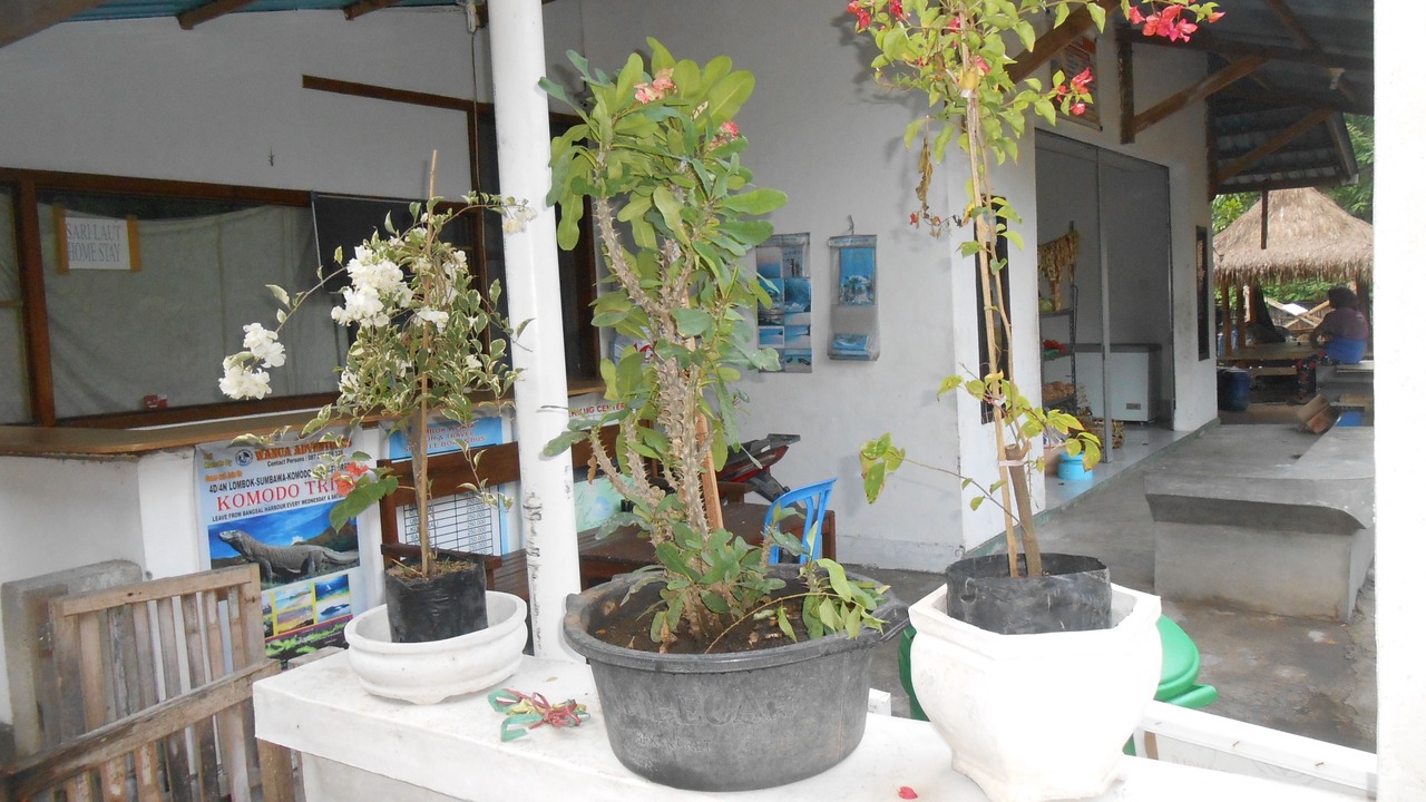Photo of Others in Gili Meno