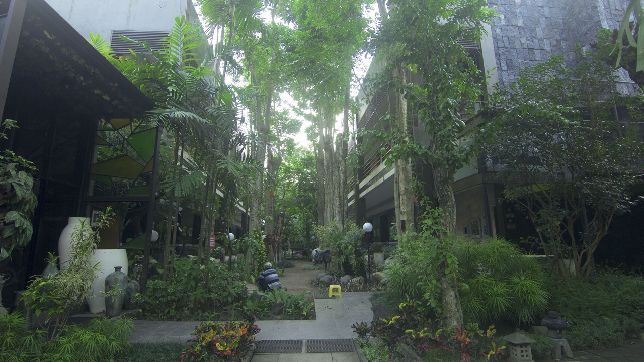 Photo of Outdoor in Sari Harjo