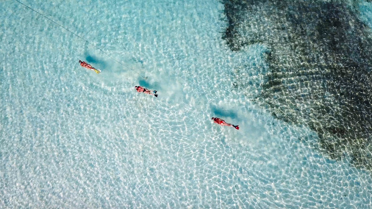 Photo of Others in Rote Island