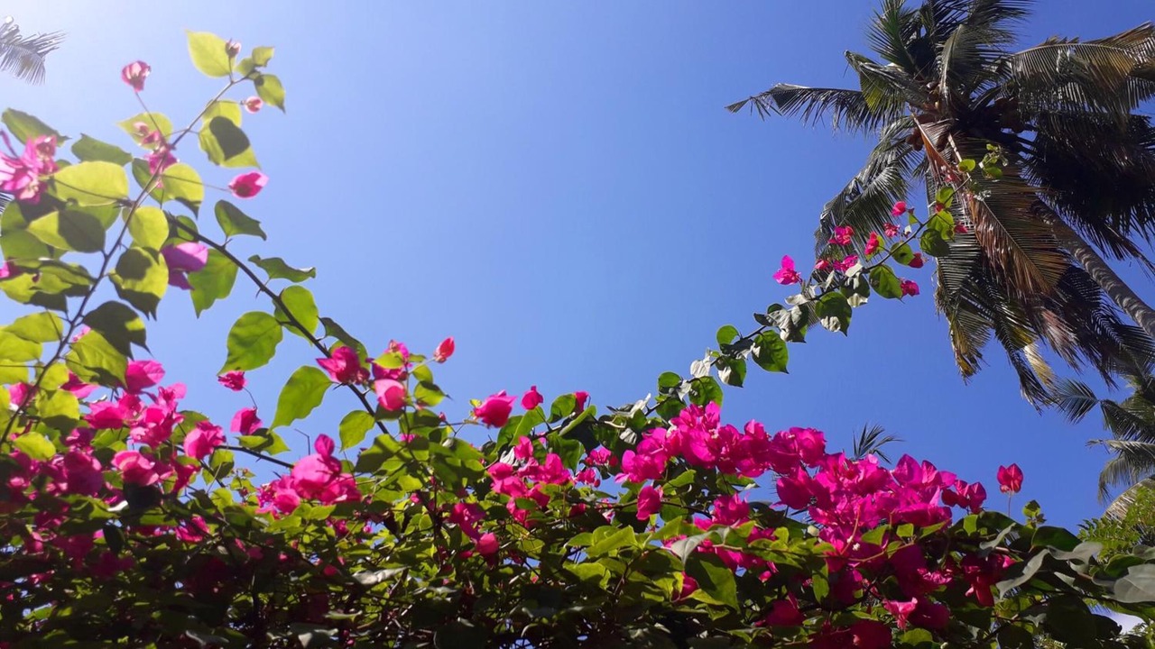 Photo of Outdoor in Gili Meno