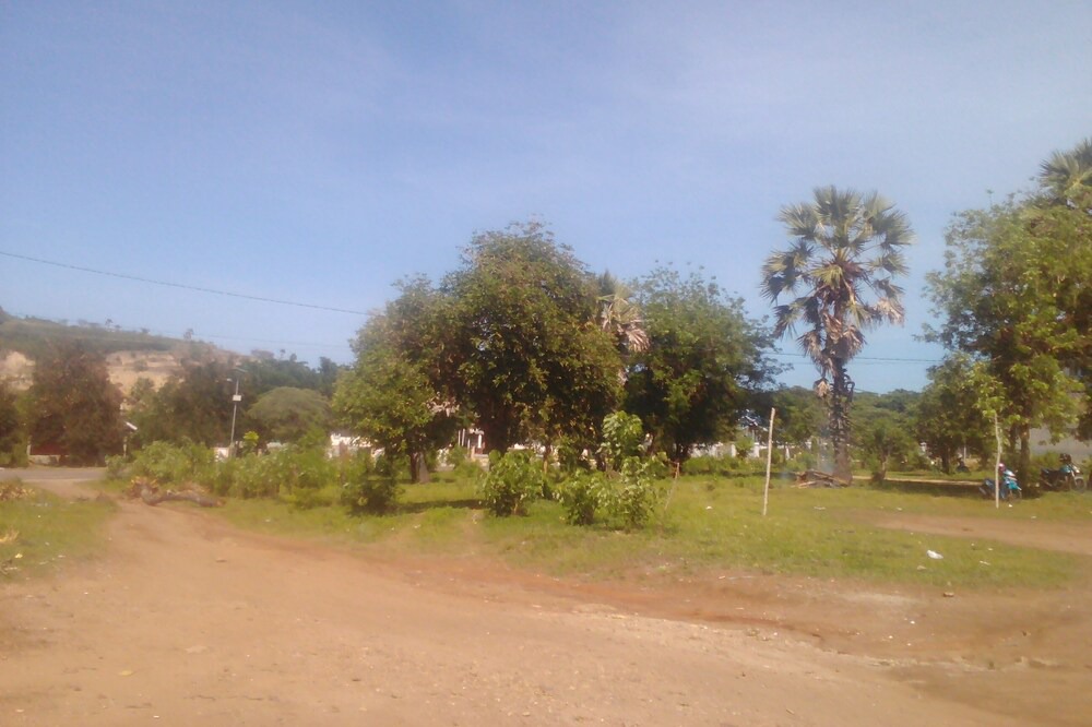 Photo of Others in Labuan Bajo