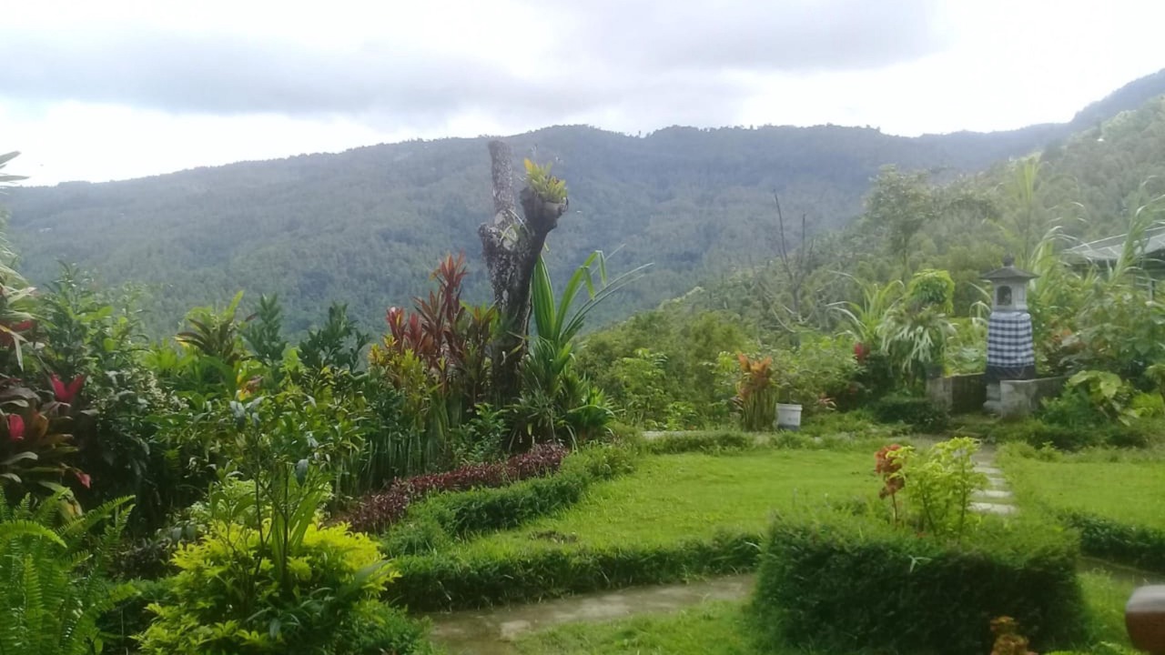 Photo of Outdoor in Munduk